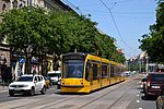 dsc_0080.jpg
