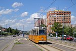 dsc_0101.jpg