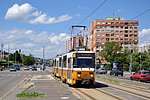 dsc_0111.jpg