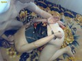 Thumb for 003182.jpg (71 KB)