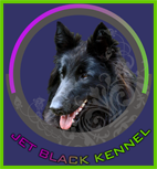 Jet Black Kennel
