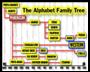 Alphabet Tree