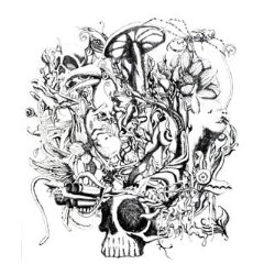 Anima album bor�t�ja