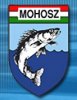 MOHOSZ
