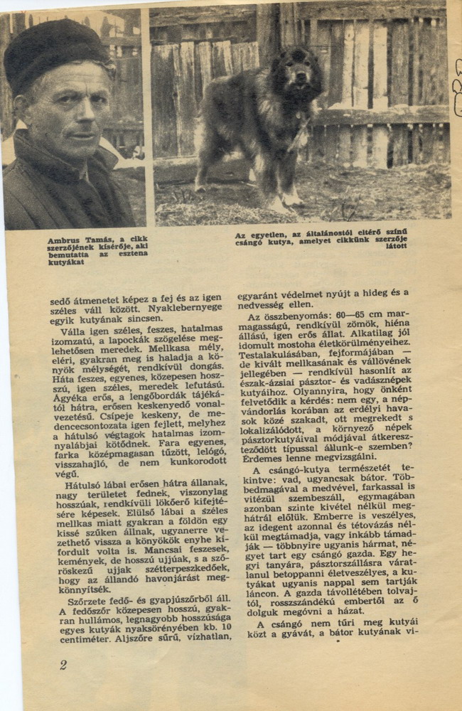 ujsag2.jpg