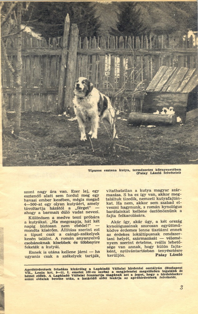 ujsag3.jpg