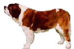 Bernthegyi