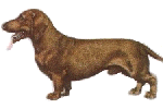 Tacsk