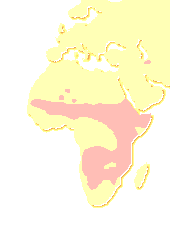 Élőhelye: Afrika és Ázsia (Közel-Kelet, India kb. 200 állat)