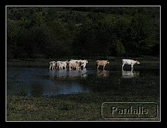 Recovered_JPEG Digital Camera_12723.jpg