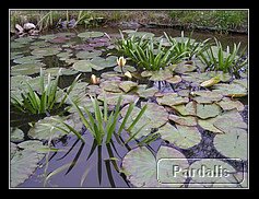 Recovered_JPEG Digital Camera_1787.jpg