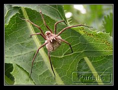 Recovered_JPEG Digital Camera_1828.jpg