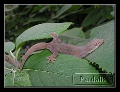 Recovered_JPEG Digital Camera_4540.jpg