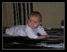 Recovered_JPEG Digital Camera_4664.jpg