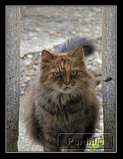 Recovered_JPEG Digital Camera_4787.jpg