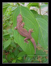 Recovered_JPEG Digital Camera_5138.jpg