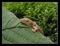 Recovered_JPEG Digital Camera_550.jpg