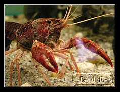 Recovered_JPEG Digital Camera_5560.jpg