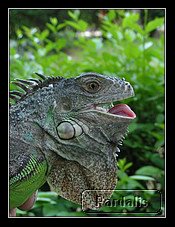 Recovered_JPEG Digital Camera_6853.jpg