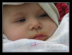 Recovered_JPEG Digital Camera_8692.jpg