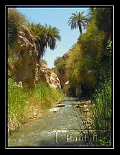 wadi_ibn_hammad.jpg