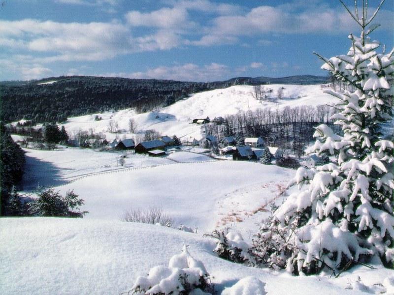 TeliTajak023