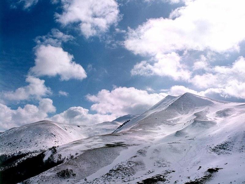 TeliTajak025