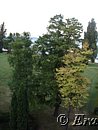DSC03038.JPG