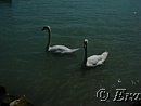 DSC03101.JPG