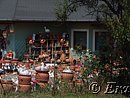 DSC03156.JPG
