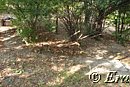 DSC03206.JPG