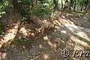 DSC03207.JPG