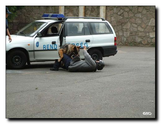 Mvc-028f