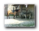 Kattints a k�pre...