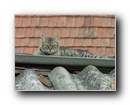 Kattints a k�pre...