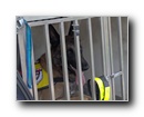 Kattints a k�pre...