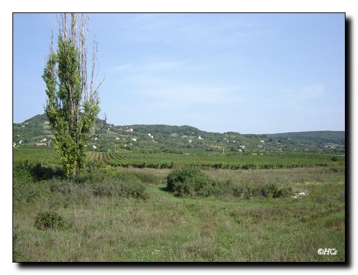 Mvc-027f