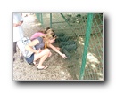 Kattints a k�pre...