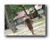 Kattints a k�pre...