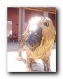 Kattints a k�pre...