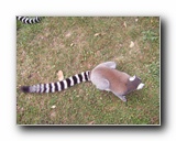 Kattints a k�pre...