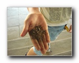 Kattints a k�pre...