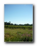 Kattints a k�pre...