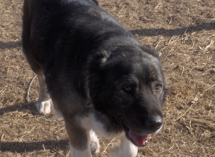 N�PKERTI-HEPI-CAFKA