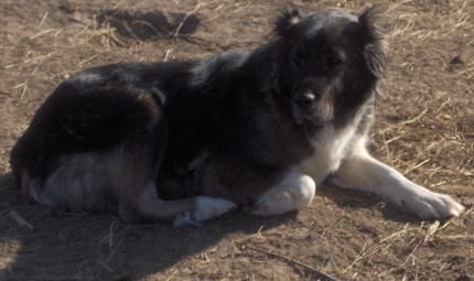 N�PKERTI-HEPI-CAFKA