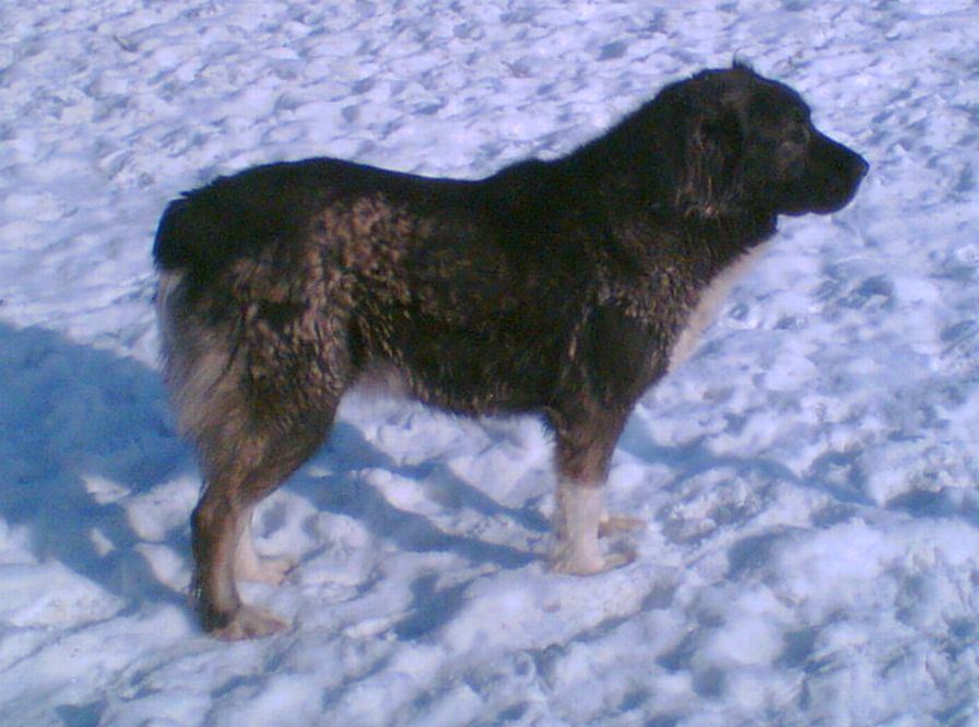 N�PKERTI-HEPI-CAFKA