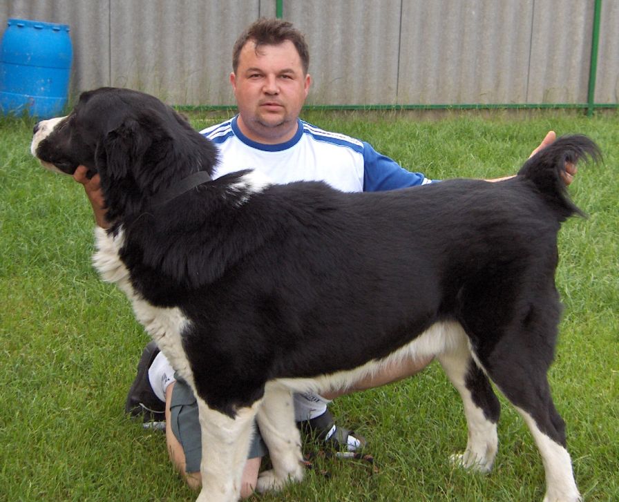 Boszporuszi-Naptűz-Zorba