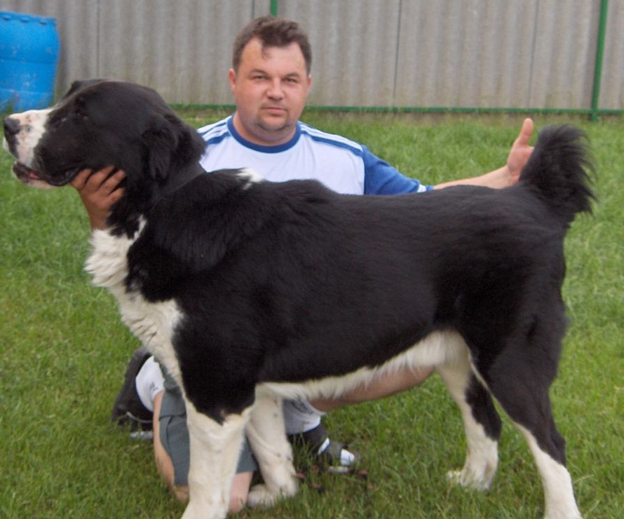 Boszporuszi-Naptűz-Zorba