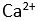 ca2+.JPG
