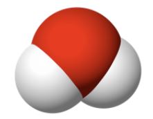 viz-m.JPG